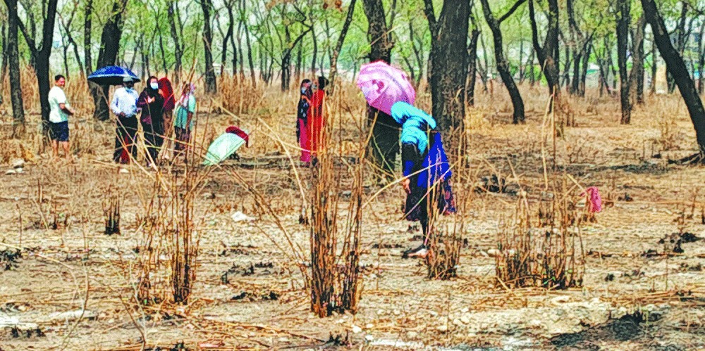 बुटवलको मोतीपुर औद्योगिक क्षेत्रमा गोली चल्यो, २ जना घाइते