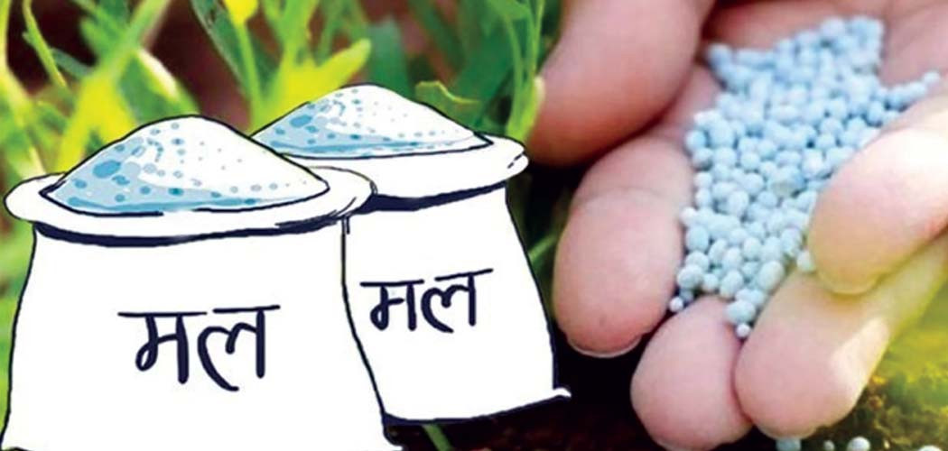 सुदूपश्चिम प्रदेशका २६ पालिकाले उठाएनन् रासायनिक मल, तत्काल  नलगे डिपोबाटै बिक्री गरिने  चेतावनी