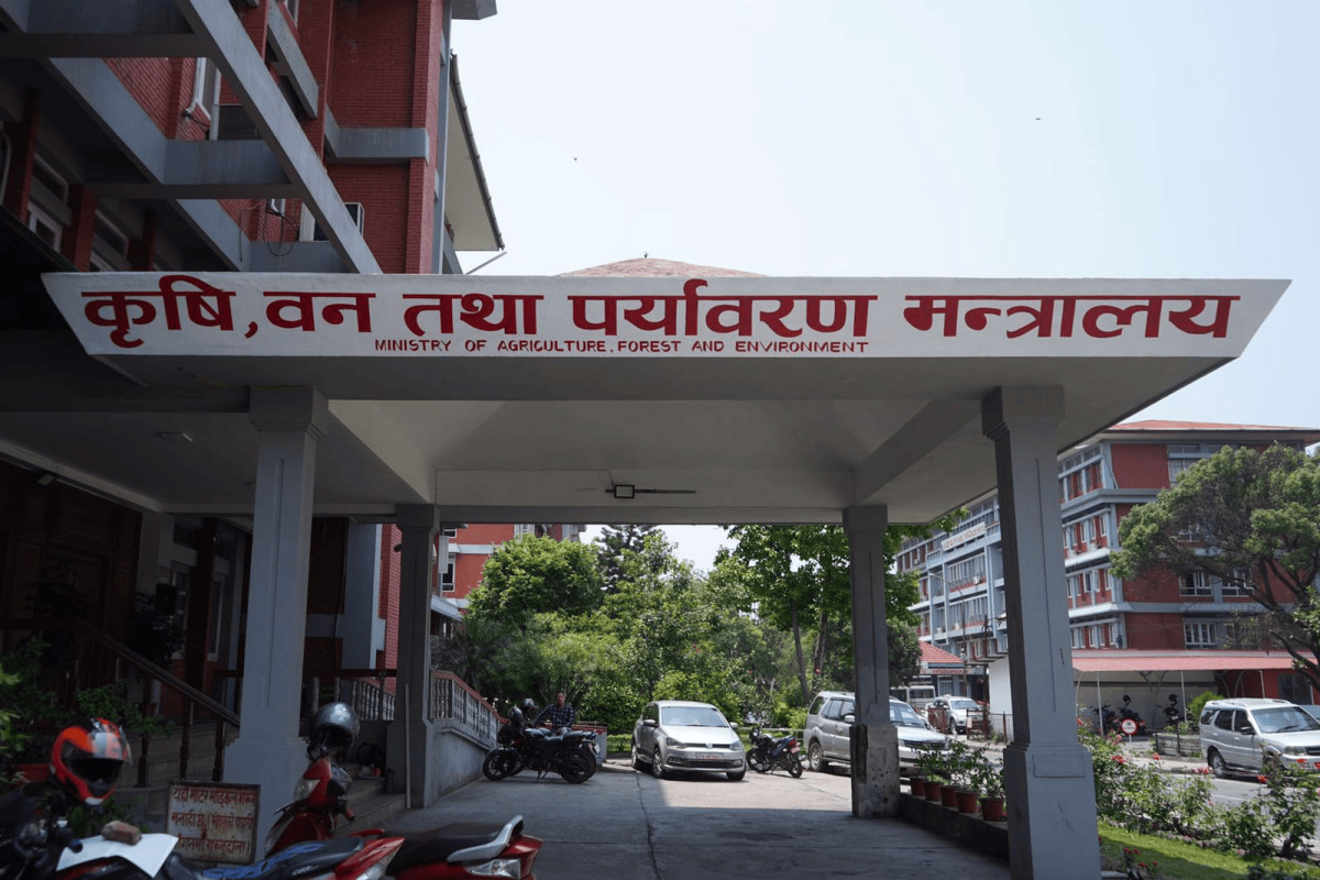 चैते धानको न्यूनतम समर्थन मूल्य कार्यान्वयन गर्न मन्त्रालयको आग्रह