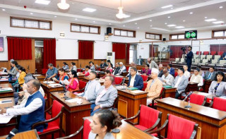 राष्ट्रिय सभाबाट आर्थिक विधेयक पारित